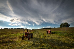 2016-06-C4 Farm-00030_1_2